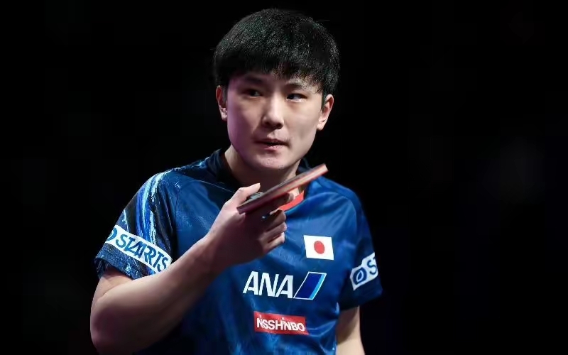 关于青岛流浪队员发挥出色,逆袭战胜对手的信息 关于青岛流浪队员发挥出色,逆袭战胜对手的信息